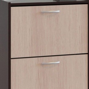 Шкаф для обуви ТО-24 в Чайковском - chaykovskiy.mebel24.online | фото 4