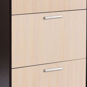 Шкаф для обуви УК-4 в Чайковском - chaykovskiy.mebel24.online | фото 2