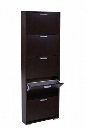 Шкаф для обуви УК-5 10000130 в Чайковском - chaykovskiy.mebel24.online | фото