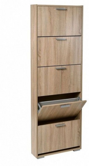 Шкаф для обуви УК-5 в Чайковском - chaykovskiy.mebel24.online | фото