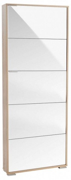 Шкаф для обуви Viva-5LW в Чайковском - chaykovskiy.mebel24.online | фото