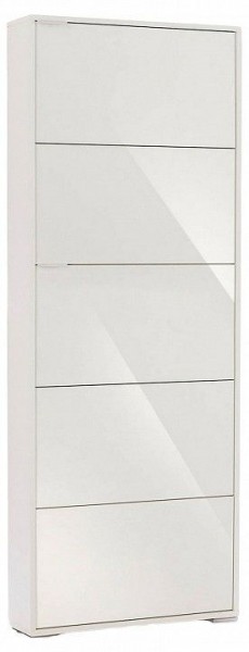 Шкаф для обуви Viva-5S в Чайковском - chaykovskiy.mebel24.online | фото