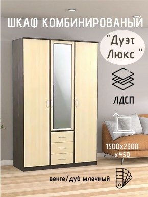 Шкаф комбинированный Дуэт Люкс с зеркалом в Чайковском - chaykovskiy.mebel24.online | фото 3