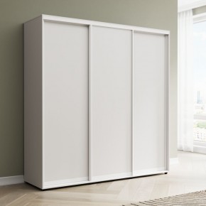 Шкаф-купе Акцент-Сим Д 1500-600 в Чайковском - chaykovskiy.mebel24.online | фото 1