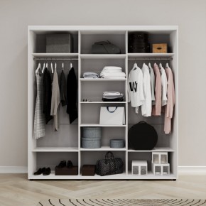 Шкаф-купе Акцент-Сим Д 1500-600 в Чайковском - chaykovskiy.mebel24.online | фото 2