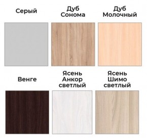 Шкаф-купе ХИТ 22-18-111 (620) в Чайковском - chaykovskiy.mebel24.online | фото 3