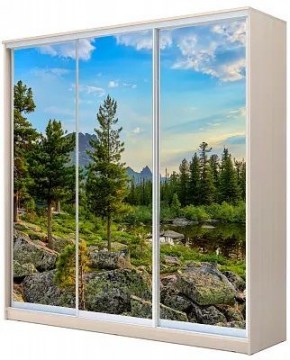 Шкаф-купе ХИТ 22-20-777 ПРИРОДА в Чайковском - chaykovskiy.mebel24.online | фото