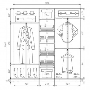 Шкаф-купе ХИТ 22-4-20-111 (420) в Чайковском - chaykovskiy.mebel24.online | фото 2