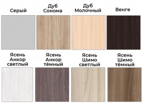 Шкаф-купе ХИТ 22-4-20/2-777 (420) в Чайковском - chaykovskiy.mebel24.online | фото 3