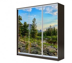 Шкаф-купе ХИТ 22-4-20-777 (420) в Чайковском - chaykovskiy.mebel24.online | фото