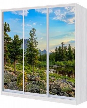 Шкаф-купе ХИТ 22-4-20-777 ПРИРОДА в Чайковском - chaykovskiy.mebel24.online | фото