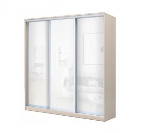 Шкаф-купе ХИТ 22-4-20-888 (420) в Чайковском - chaykovskiy.mebel24.online | фото 4