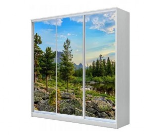 Шкаф-купе ХИТ 23-18-777 (620) в Чайковском - chaykovskiy.mebel24.online | фото