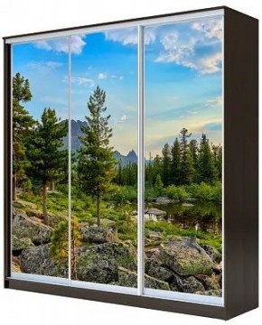 Шкаф-купе ХИТ 23-20-777 ПРИРОДА в Чайковском - chaykovskiy.mebel24.online | фото