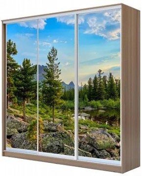 Шкаф-купе ХИТ 24-20/2-777 ПРИРОДА в Чайковском - chaykovskiy.mebel24.online | фото