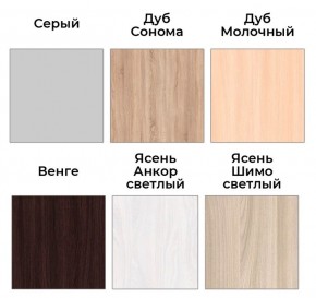 Шкаф-купе ХИТ-У-R-22-64-77 в Чайковском - chaykovskiy.mebel24.online | фото 4