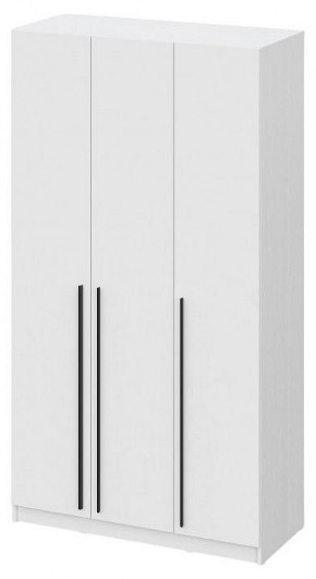 Шкаф платяной Бирма ШК-1200 в Чайковском - chaykovskiy.mebel24.online | фото