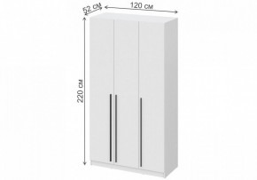 Шкаф платяной Бирма ШК-1200 в Чайковском - chaykovskiy.mebel24.online | фото 4