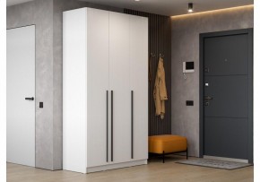 Шкаф платяной Бирма ШК-1200 в Чайковском - chaykovskiy.mebel24.online | фото 5