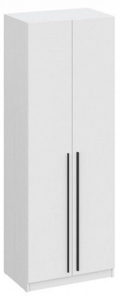 Шкаф платяной Бирма ШК-800 в Чайковском - chaykovskiy.mebel24.online | фото