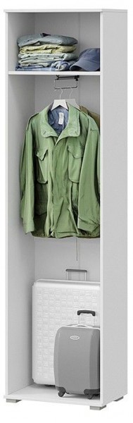 Шкаф платяной Эрика в Чайковском - chaykovskiy.mebel24.online | фото 2
