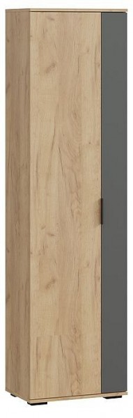 Шкаф платяной Эвита в Чайковском - chaykovskiy.mebel24.online | фото