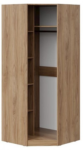Шкаф платяной Глосс СМ-319.07.311 в Чайковском - chaykovskiy.mebel24.online | фото 2
