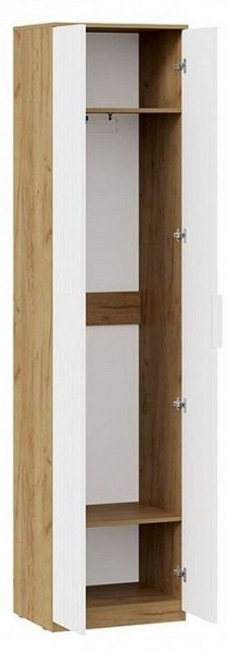 Шкаф платяной Хилтон Исп. 2 в Чайковском - chaykovskiy.mebel24.online | фото 2