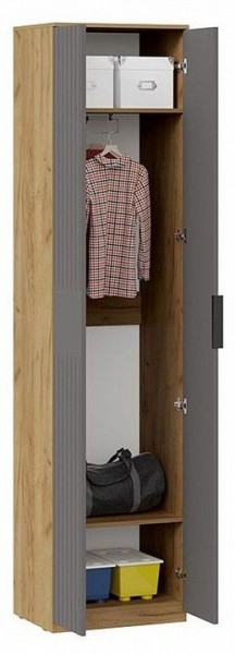 Шкаф платяной Хилтон Исп. 2 в Чайковском - chaykovskiy.mebel24.online | фото 3