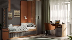 Шкаф платяной Хилтон Исп. 2 в Чайковском - chaykovskiy.mebel24.online | фото 5