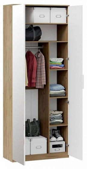 Шкаф платяной Хилтон Исп. 2.1 в Чайковском - chaykovskiy.mebel24.online | фото 4