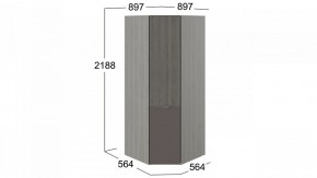 Шкаф платяной Либерти СМ-297.07.033 в Чайковском - chaykovskiy.mebel24.online | фото 3
