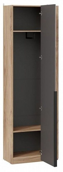 Шкаф платяной Порто СМ-393.07.232 в Чайковском - chaykovskiy.mebel24.online | фото 2