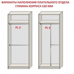 Шкаф распашной серия «ЗЕВС» (PL3/С1/PL2) в Чайковском - chaykovskiy.mebel24.online | фото 10