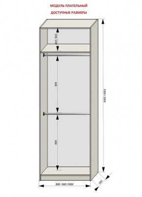 Шкаф распашной серия «ЗЕВС» (PL3/С1/PL2) в Чайковском - chaykovskiy.mebel24.online | фото 12