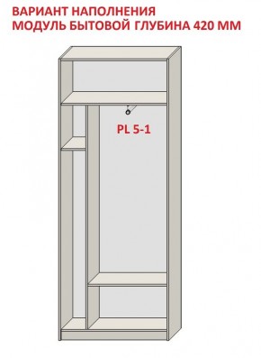 Шкаф распашной серия «ЗЕВС» (PL3/С1/PL2) в Чайковском - chaykovskiy.mebel24.online | фото 4