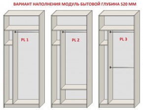 Шкаф распашной серия «ЗЕВС» (PL3/С1/PL2) в Чайковском - chaykovskiy.mebel24.online | фото 5