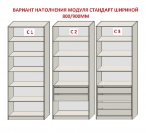 Шкаф распашной серия «ЗЕВС» (PL3/С1/PL2) в Чайковском - chaykovskiy.mebel24.online | фото 6