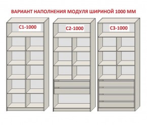 Шкаф распашной серия «ЗЕВС» (PL3/С1/PL2) в Чайковском - chaykovskiy.mebel24.online | фото 7