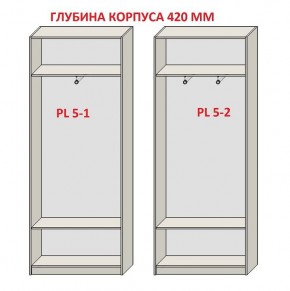 Шкаф распашной серия «ЗЕВС» (PL3/С1/PL2) в Чайковском - chaykovskiy.mebel24.online | фото 8