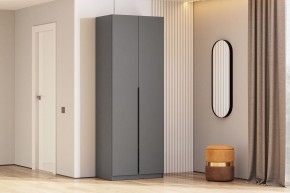 Шкаф ШК-5 (800) Графит серый в Чайковском - chaykovskiy.mebel24.online | фото 1