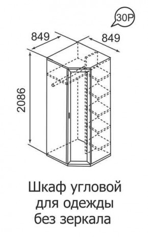 Шкаф угловой для одежды Ника-Люкс 30 без зеркал в Чайковском - chaykovskiy.mebel24.online | фото 3