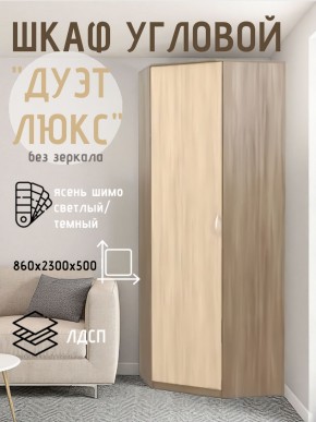 Шкаф угловой Дуэт Люкс без зеркала в Чайковском - chaykovskiy.mebel24.online | фото 7