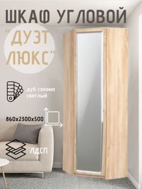 Шкаф угловой Дуэт Люкс с зеркалом в Чайковском - chaykovskiy.mebel24.online | фото