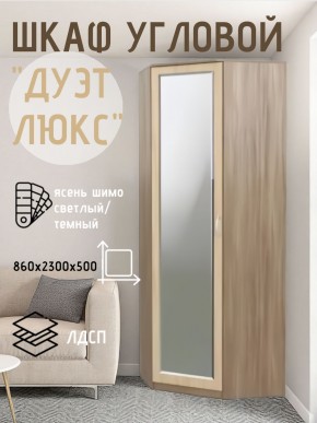 Шкаф угловой Дуэт Люкс с зеркалом в Чайковском - chaykovskiy.mebel24.online | фото 3