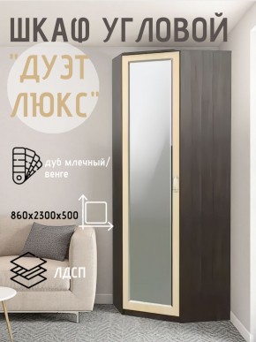 Шкаф угловой Дуэт Люкс с зеркалом в Чайковском - chaykovskiy.mebel24.online | фото 5