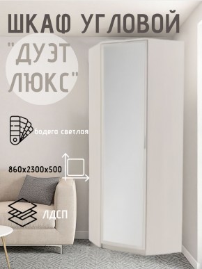 Шкаф угловой Дуэт Люкс с зеркалом в Чайковском - chaykovskiy.mebel24.online | фото 6