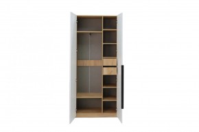 СТЕФАНИ-2 Шкаф в Чайковском - chaykovskiy.mebel24.online | фото 3