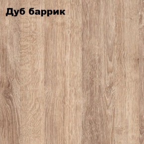 ГРАФ Стеллаж (дуб баррик) в Чайковском - chaykovskiy.mebel24.online | фото 2