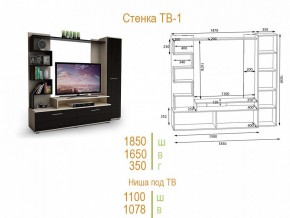 Стенка для гостиной ТВ-1 в Чайковском - chaykovskiy.mebel24.online | фото 2